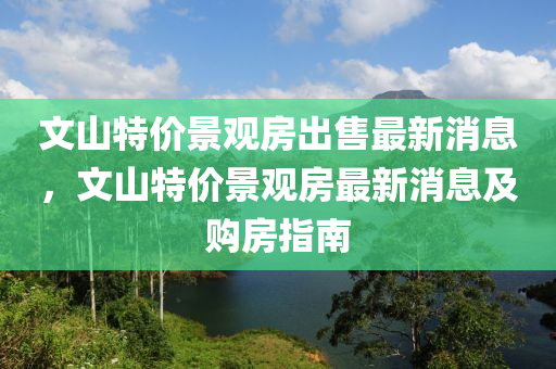 文山特价景观房出售最新消息，文山特价景观房最新消息及购房指南