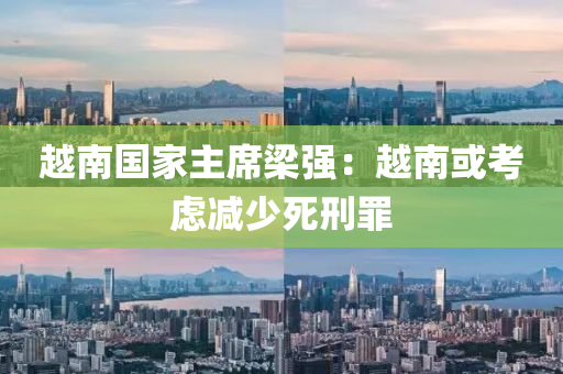 越南国家主席梁强：越南或考虑减少死刑罪