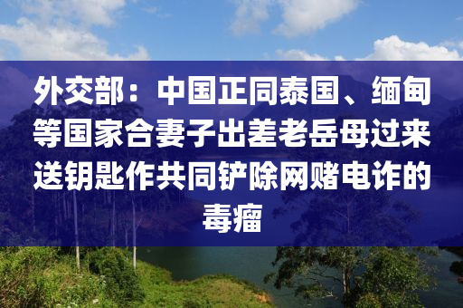 外交部：中国正同泰国、缅甸等国家合妻子出差老岳母过来送钥匙作共同铲除网赌电诈的毒瘤
