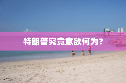 特朗普究竟意欲何为？