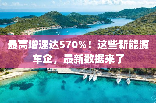 最高增速达570%！这些新能源车企，最新数据来了