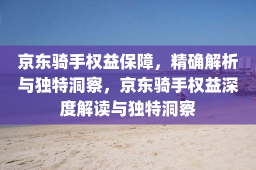 京东骑手权益保障，精确解析与独特洞察，京东骑手权益深度解读与独特洞察