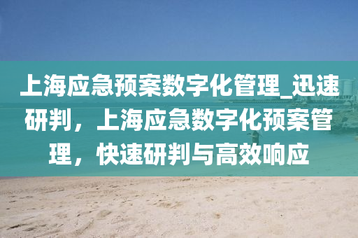 上海应急预案数字化管理_迅速研判，上海应急数字化预案管理，快速研判与高效响应