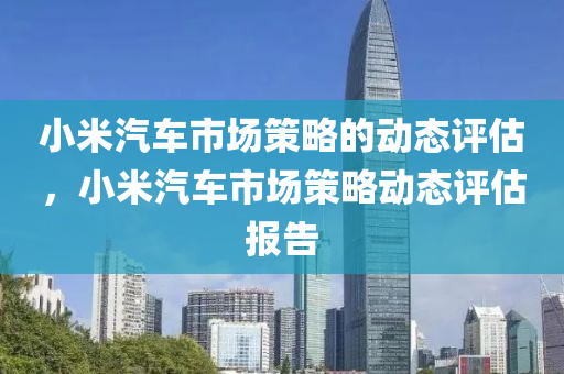 小米汽车市场策略的动态评估，小米汽车市场策略动态评估报告