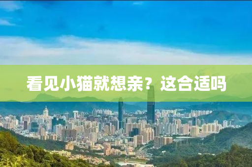看见小猫就想亲？这合适吗