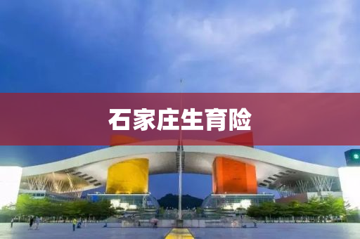 石家庄生育险