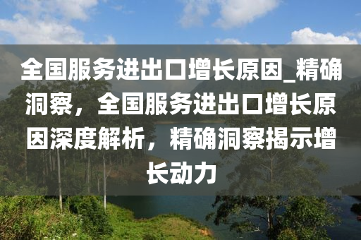 全国服务进出口增长原因_精确洞察，全国服务进出口增长原因深度解析，精确洞察揭示增长动力