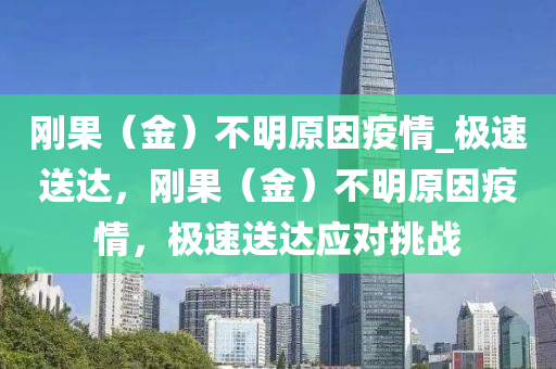 刚果（金）不明原因疫情_极速送达，刚果（金）不明原因疫情，极速送达应对挑战