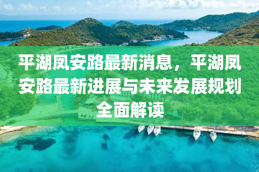平湖凤安路最新消息，平湖凤安路最新进展与未来发展规划全面解读