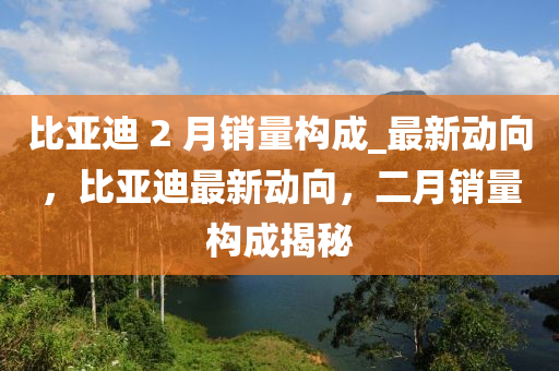 比亚迪 2 月销量构成_最新动向，比亚迪最新动向，二月销量构成揭秘