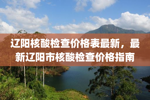 辽阳核酸检查价格表最新，最新辽阳市核酸检查价格指南