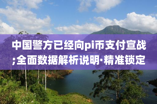 中国警方已经向pi币支付宣战;全面数据解析说明·精准锁定