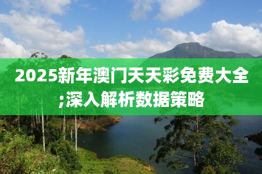 2025新年澳门天天彩免费大全;深入解析数据策略