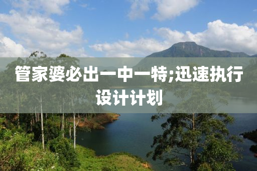 管家婆必出一中一特;迅速执行设计计划