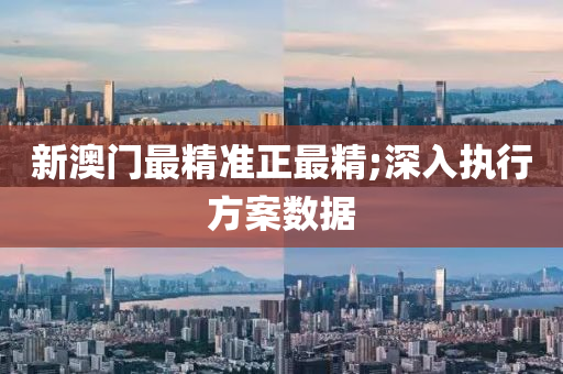 新澳门最精准正最精;深入执行方案数据