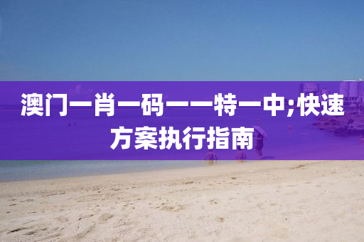 澳门一肖一码一一特一中;快速方案执行指南