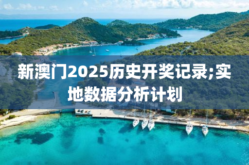 新澳门2025历史开奖记录;实地数据分析计划