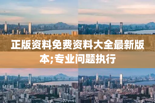正版资料免费资料大全最新版本;专业问题执行