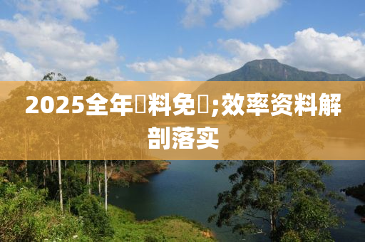 2025全年資料免費;效率资料解剖落实