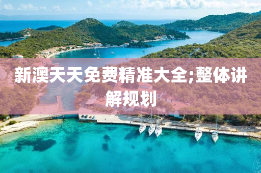 新澳天天免费精准大全;整体讲解规划