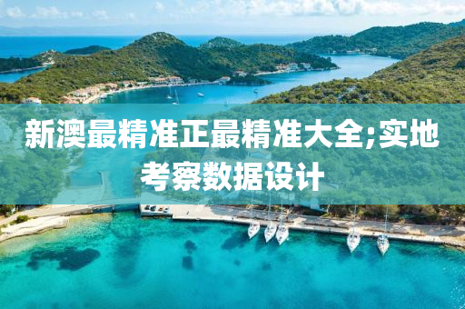 新澳最精准正最精准大全;实地考察数据设计