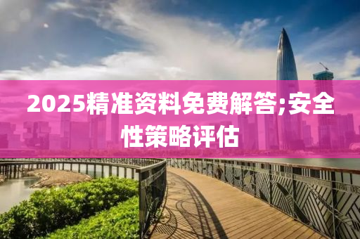 2025精准资料免费解答;安全性策略评估