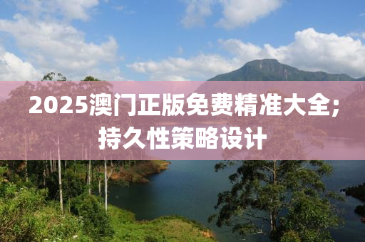2025澳门正版免费精准大全;持久性策略设计