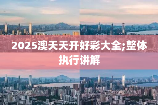 2025澳天天开好彩大全;整体执行讲解
