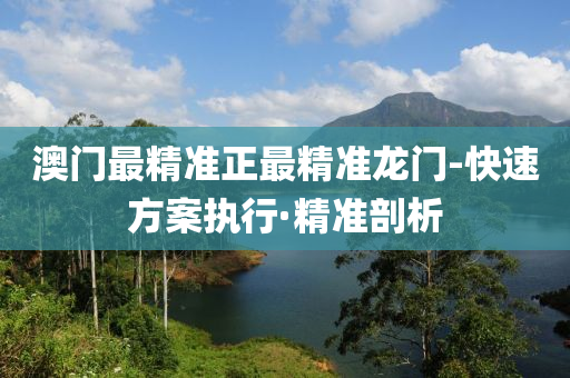 澳门最精准正最精准龙门-快速方案执行·精准剖析
