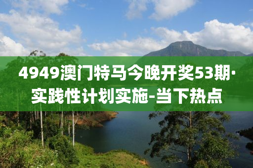 4949澳门特马今晚开奖53期·实践性计划实施-当下热点