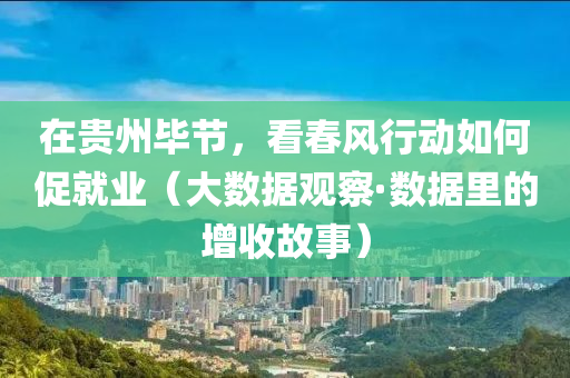 在贵州毕节，看春风行动如何促就业（大数据观察·数据里的增收故事）