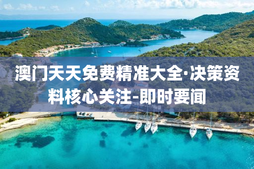 澳门天天免费精准大全·决策资料核心关注-即时要闻
