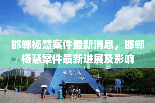 邯郸杨慧案件最新消息，邯郸杨慧案件最新进展及影响