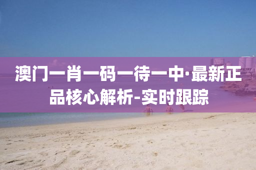 澳门一肖一码一待一中·最新正品核心解析