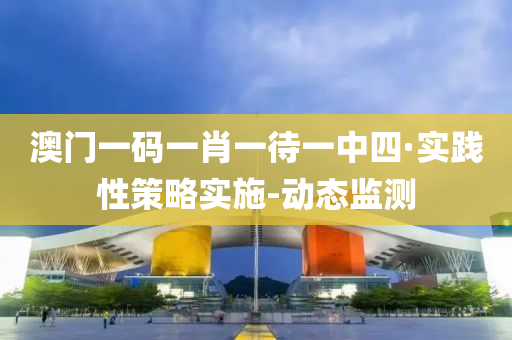 澳门一码一肖一待一中四·实践性策略实施-动态监测