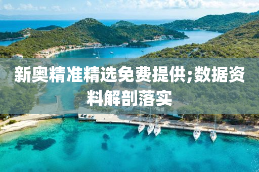 新奥精准精选免费提供;数据资料解剖落实