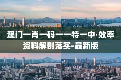 澳门一肖一码一一特一中·效率资料解剖落实-最新版