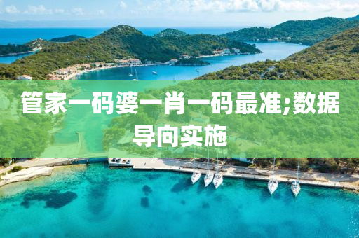 管家一码婆一肖一码最准;数据导向实施