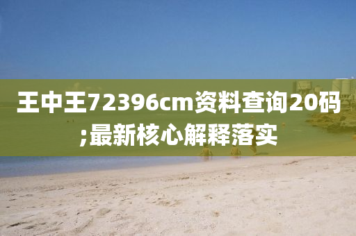 王中王72396cm资料查询20码;最新核心解释落实