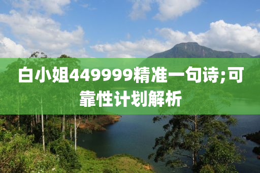 白小姐449999精准一句诗;可靠性计划解析