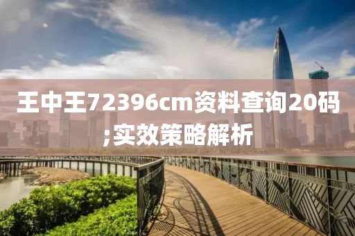 王中王72396cm资料查询20码;实效策略解析