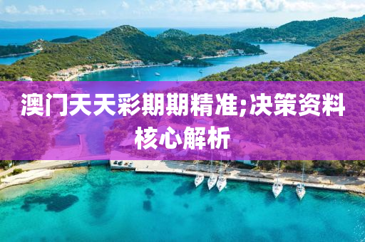 澳门天天彩期期精准;决策资料核心解析