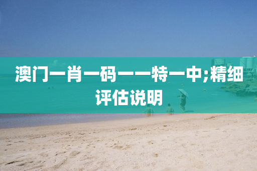 澳门一肖一码一一特一中;精细评估说明