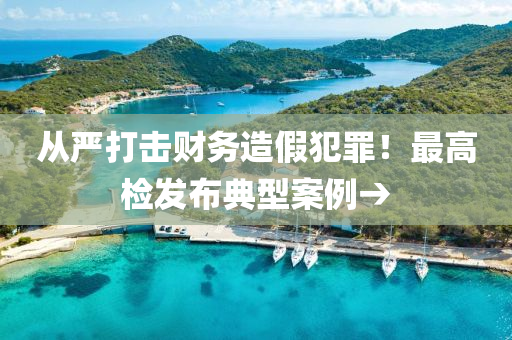 从严打击财务造假犯罪！最高检发布典型案例→