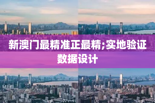 新澳门最精准正最精;实地验证数据设计