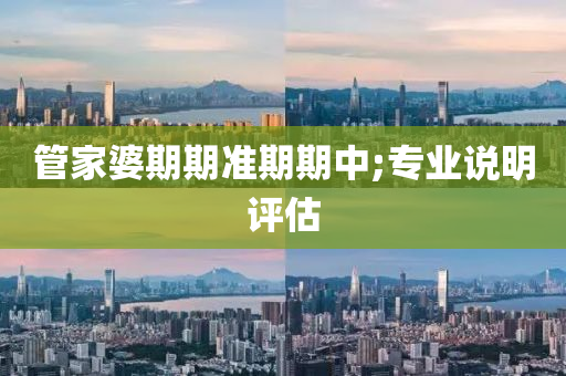 管家婆期期准期期中;专业说明评估