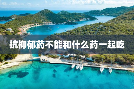 抗抑郁药不能和什么药一起吃