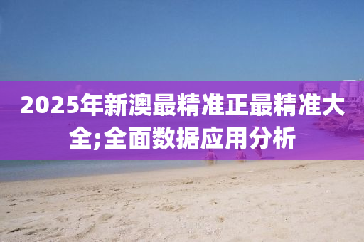 2025年新澳最精准正最精准大全;全面数据应用分析