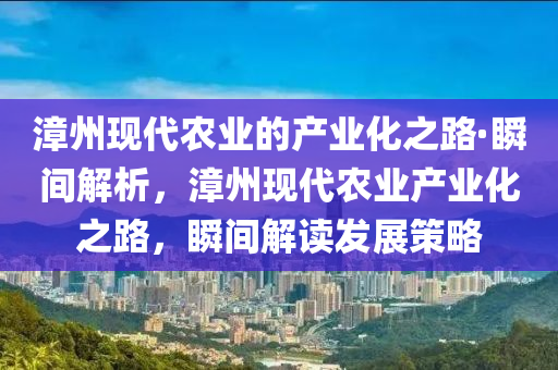 漳州现代农业的产业化之路·瞬间解析，漳州现代农业产业化之路，瞬间解读发展策略