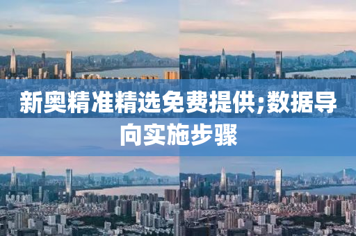 新奥精准精选免费提供;数据导向实施步骤